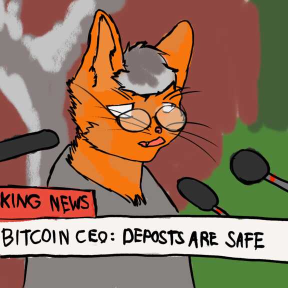 Bitcoin CEO - Bitcoin is safu