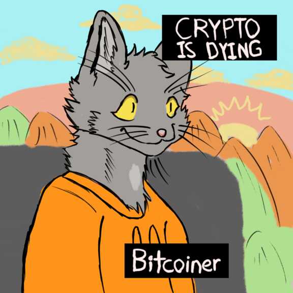 Crypto is Dying - Bitcoiner