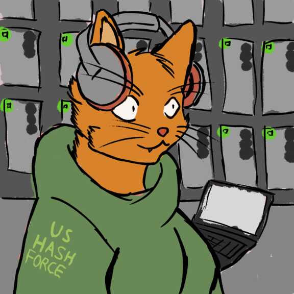Hash Force Space Catdet